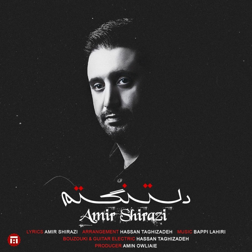 امیر شیرازی دلتنگتم 
